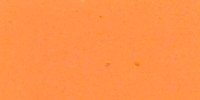 II_11_b_Salmon-Orange