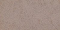 XLV_9′′′′_b_Light_Brownish_Drab