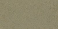 XLVI_21′′′′___Grayish_Olive