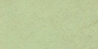 XXXII_35′′_d_Olivine