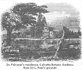 Dr. Falconer’s
residence, Calcutta Botanic Gardens, from Sir L. Peel’s grounds