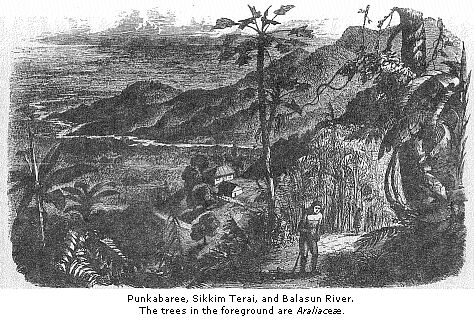 Punkabaree, Sikkim Terai,
and Balasun River.