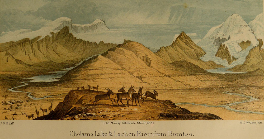 Kinchinjhow,
Donkia and Cholamoo Lake, from the summit of Bhomtso, looking south; the summit
of Chumulari is introduced in the extreme left of the view