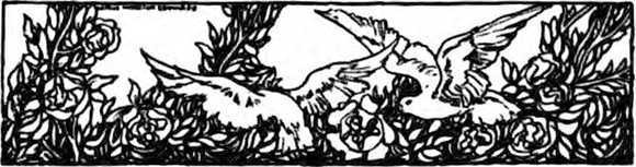 Violence in the Woman’s
  Suffrage Movement, tailpiece