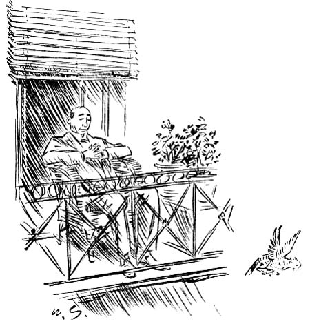 It was the bird who made the first dash
for liberty