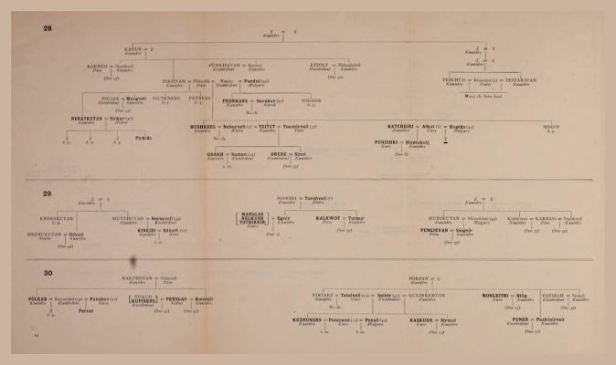Genealogical Table