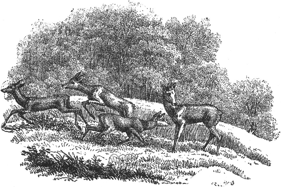 Lithographie aus 'Noch
  50 Fabeln'