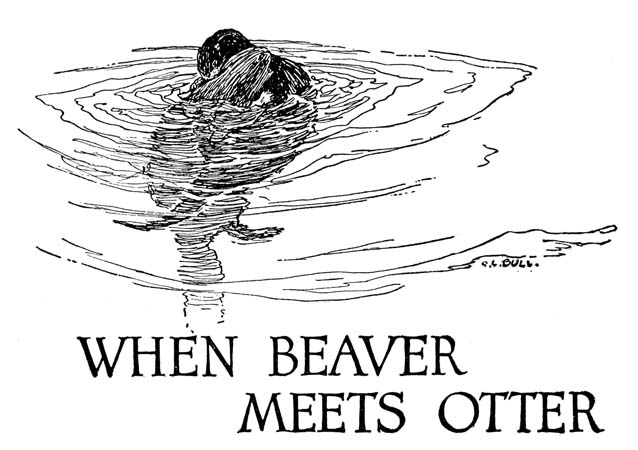WHEN BEAVER
 MEETS OTTER
