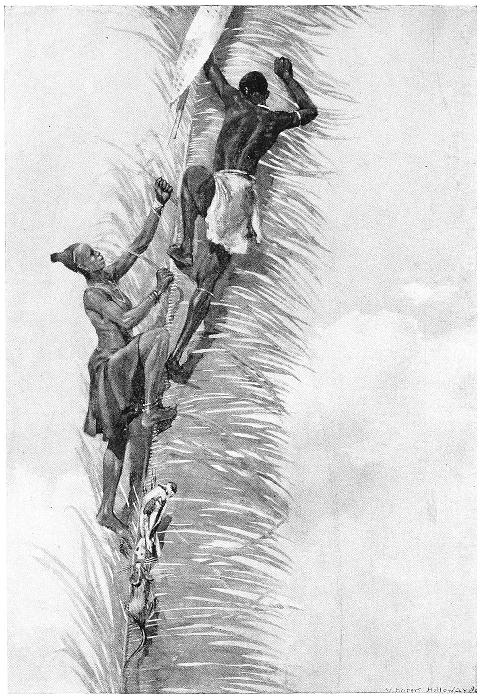 “They climbed and climbed till they were above the clouds.”