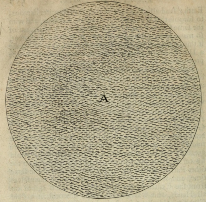 The Earth, covered with Water.