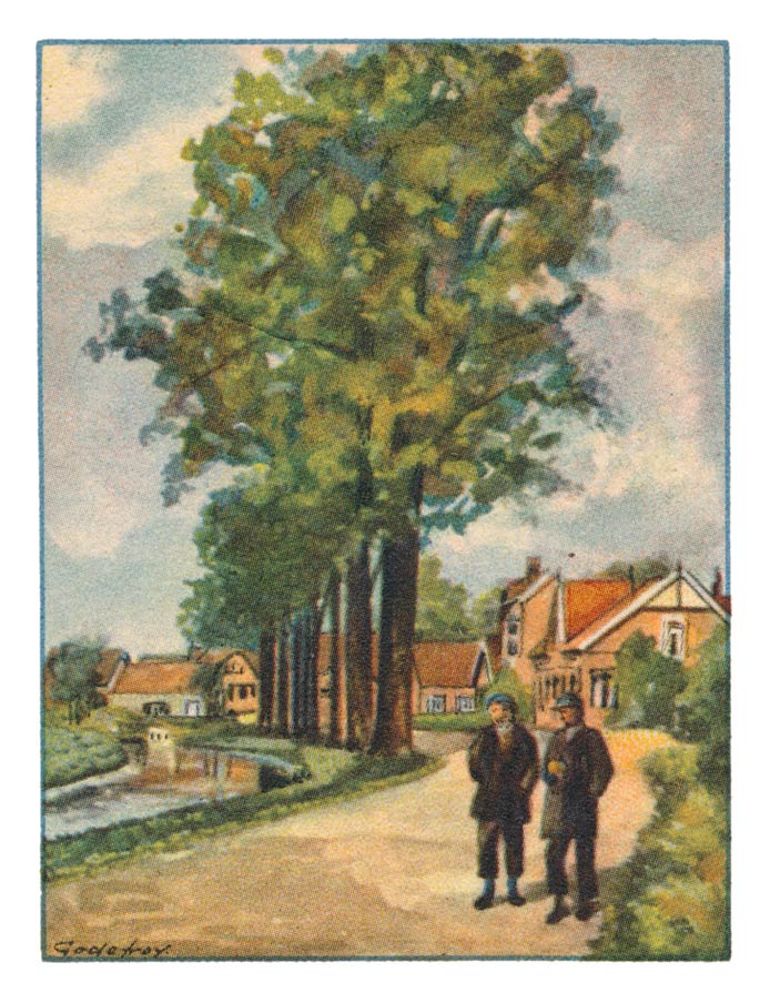 21. KLAASWAAL, Havenstraat