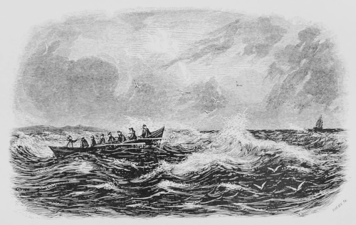 View of Falklands