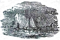 image019