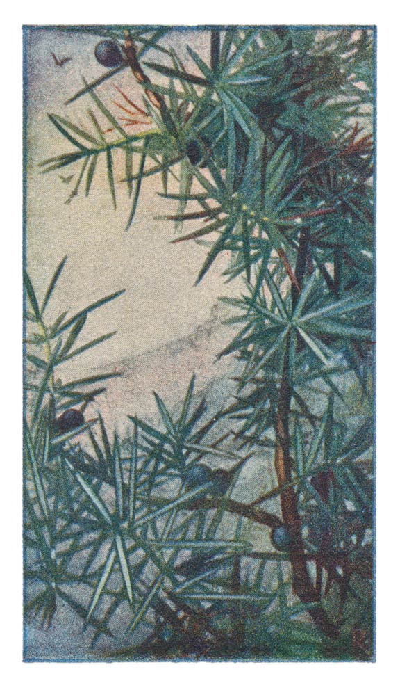 37