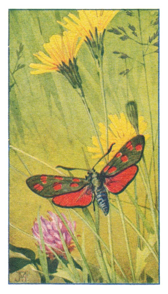 60