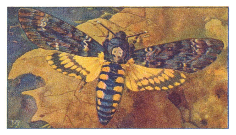 115