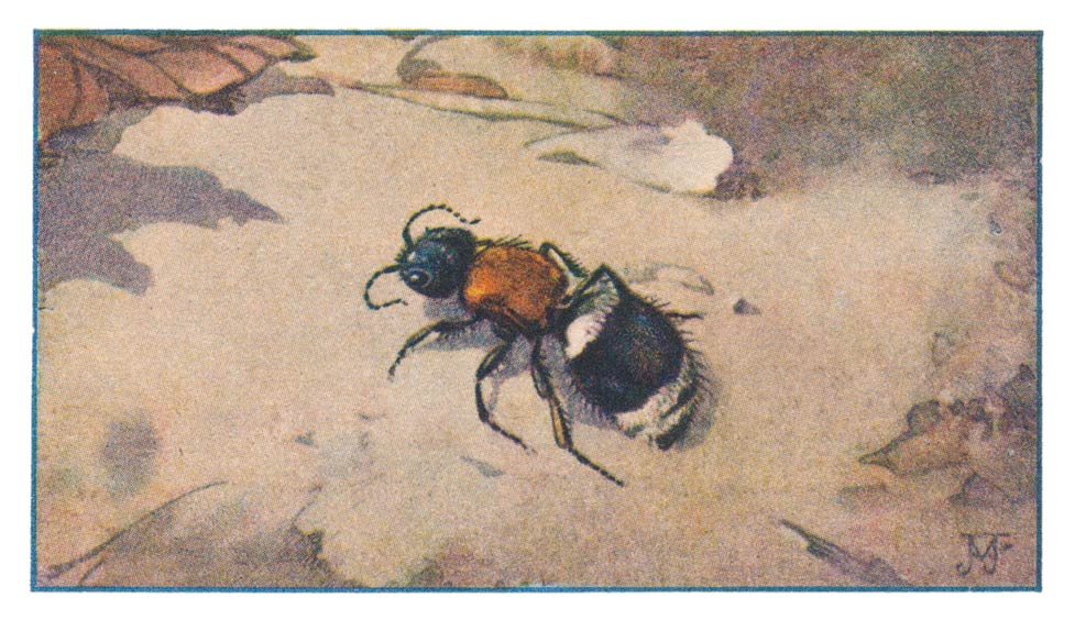 120