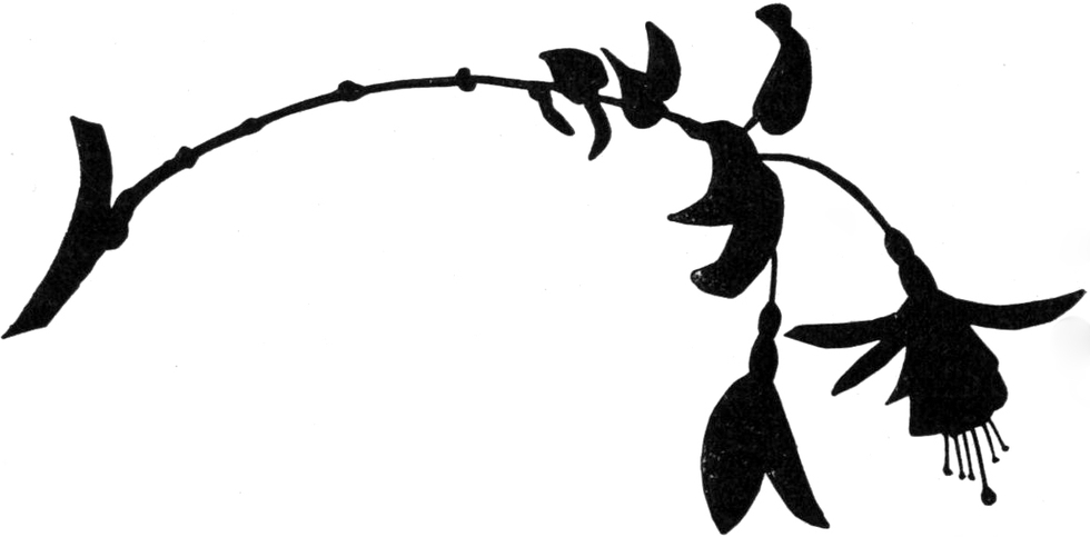 Silhouette einer Fuchsienblüte