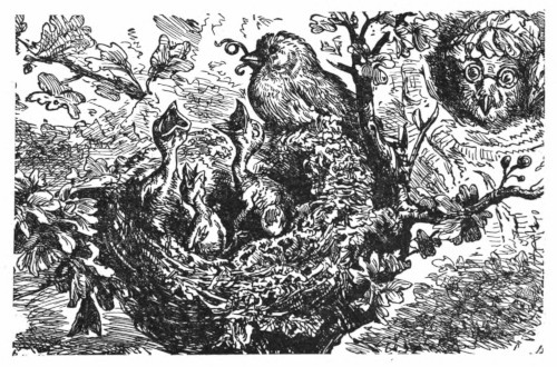 untitled illustration