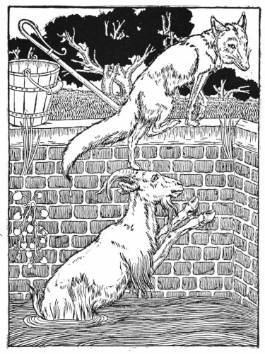 Fox in the well