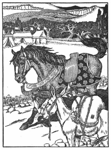 Horse and Ass
