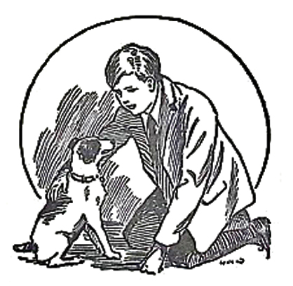 image003