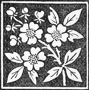 decorative