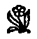 decorative flower image