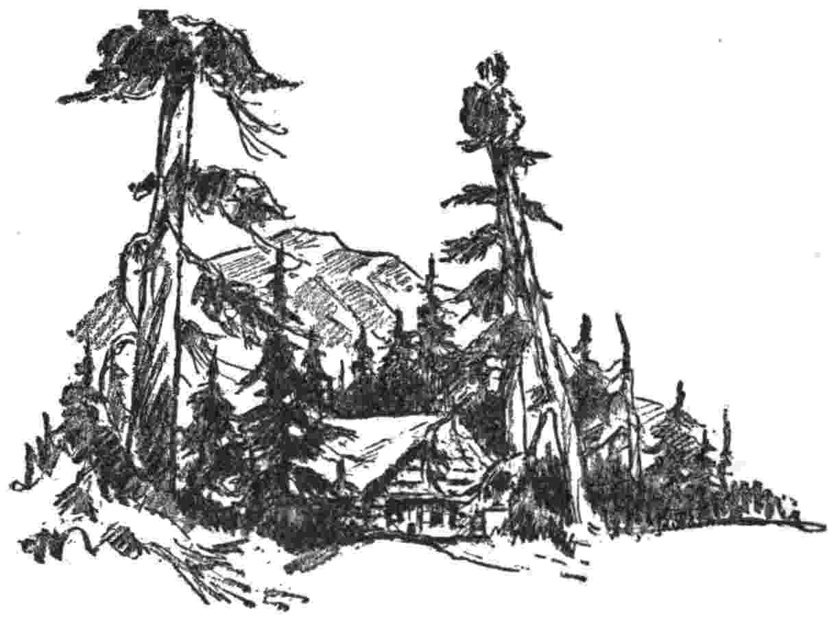 cabin in the woods