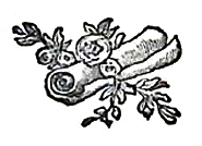 image012