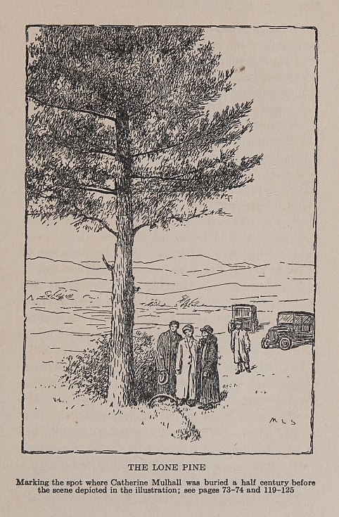 THE LONE PINE