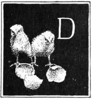 D