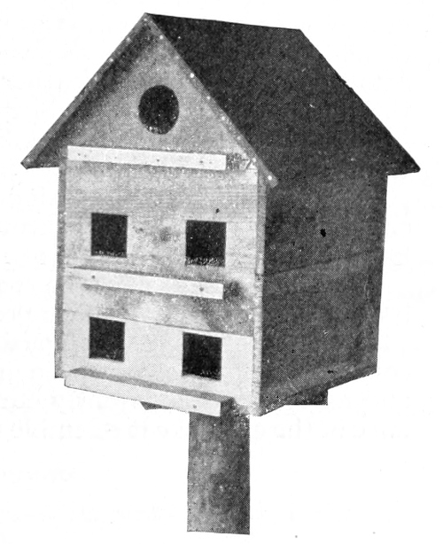 Martin house