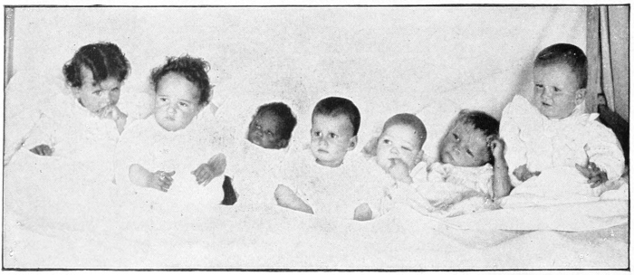 human babies