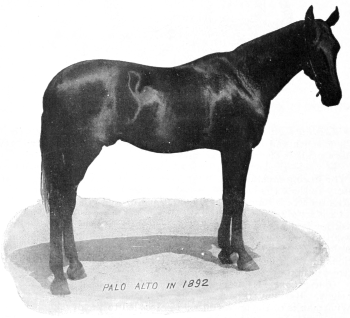 Palo Alto