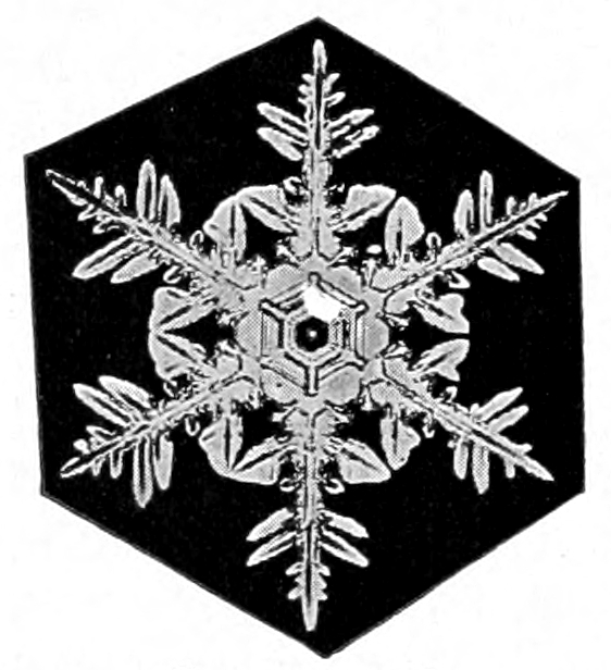 Snow crystal