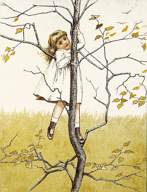 Girl perched in a tree