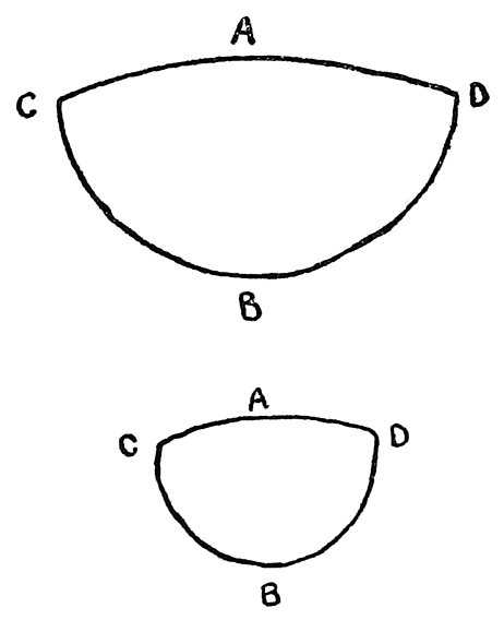 Fig. 1. Section of Little Andaman bow, in the middle and near the end