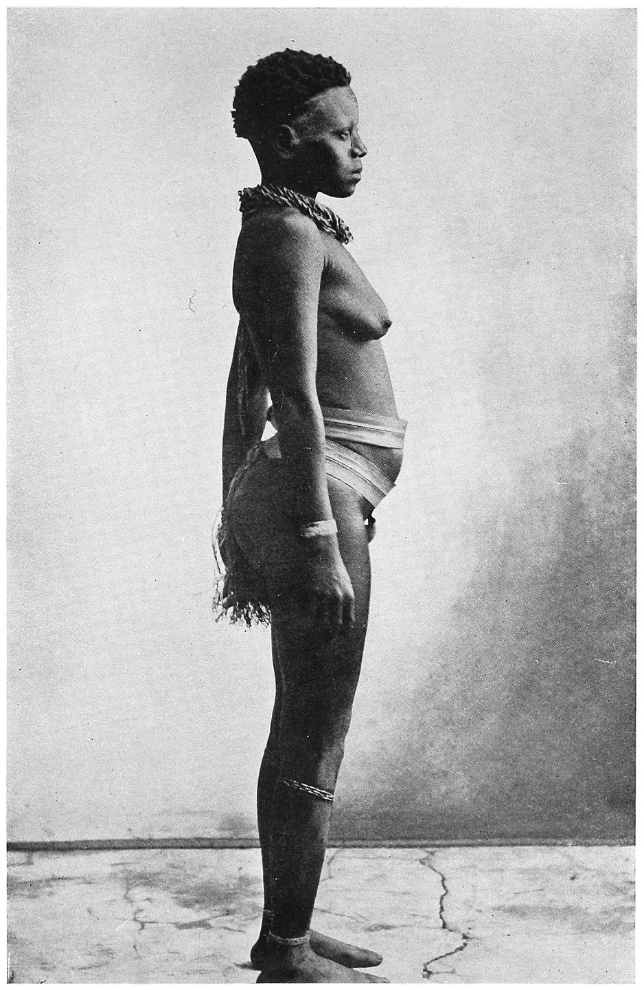 Plate IV