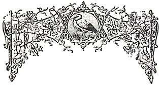 image007
