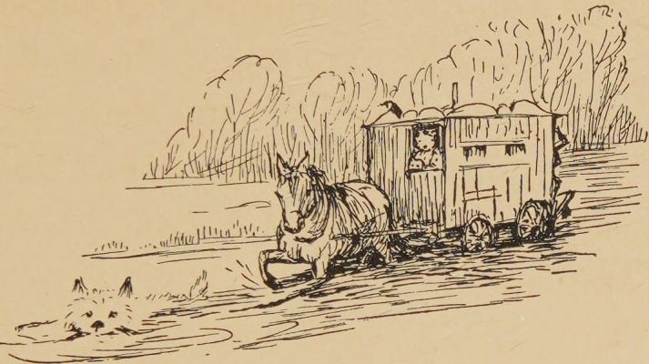 Pony Billy drawing the caravan.